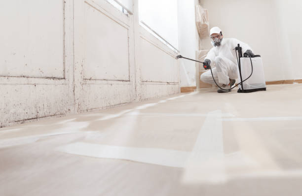 24/7 Emergency Mold Remediation experts in Stanton, KY